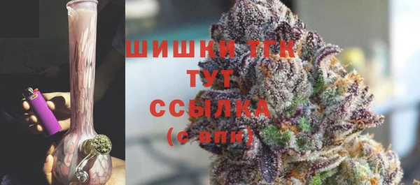 стафф Бородино